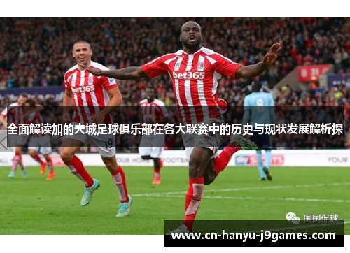 全面解读加的夫城足球俱乐部在各大联赛中的历史与现状发展解析探 全面解读加的夫城足球俱乐部在各大联赛中的历史与现状发展解析探