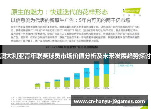 澳大利亚青年联赛球员市场价值分析及未来发展趋势探讨