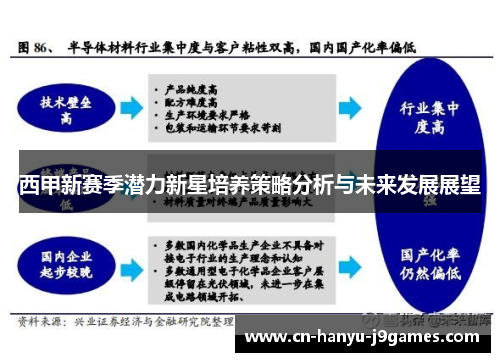 西甲新赛季潜力新星培养策略分析与未来发展展望